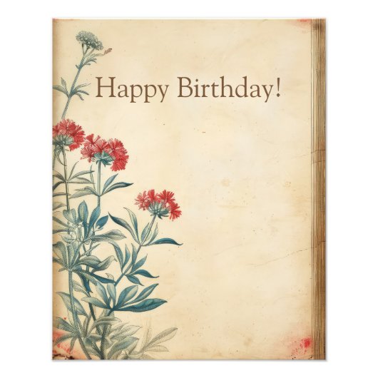 Yarrow Blume Illustration ephemere Fotodruck (Vorne)