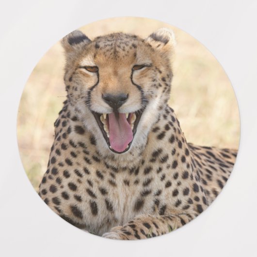 Yawna Cheetah Etiketten (Design 1)