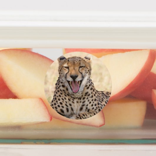 Yawna Cheetah Etiketten (Befestigt)