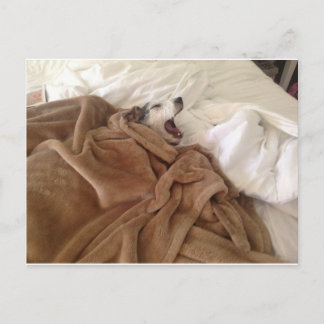 Yawndoggy Postkarte