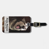 Yawning Alaskan Malamute Fotografie Gepäckanhänger (Vorderseite horizontal)