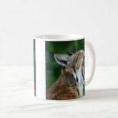 Yawning Bobcat Kaffeetasse (VorderseiteRechts)