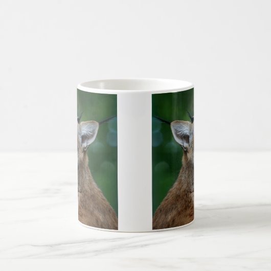 Yawning Bobcat Kaffeetasse (Mittel)
