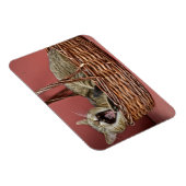 Yawning Cat Magnet (Rechte Seite)