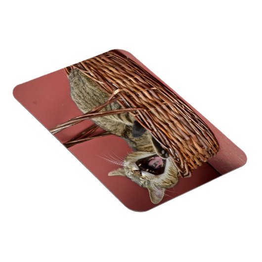 Yawning Cat Magnet (Rechte Seite)