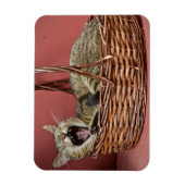 Yawning Cat Magnet (Vertikal)