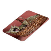 Yawning Cat Magnet (Linke Seite)