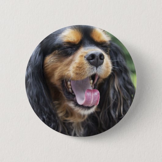 Yawning Cavalier King Charles Spaniel Button (Vorderseite)