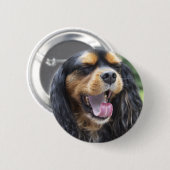 Yawning Cavalier King Charles Spaniel Button (Vorne & Hinten)