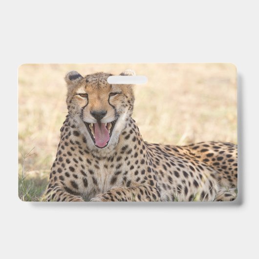 Yawning Cheetah Ausweis (Vorderseite)