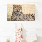 Yawning Cheetah Banner (Insitu)