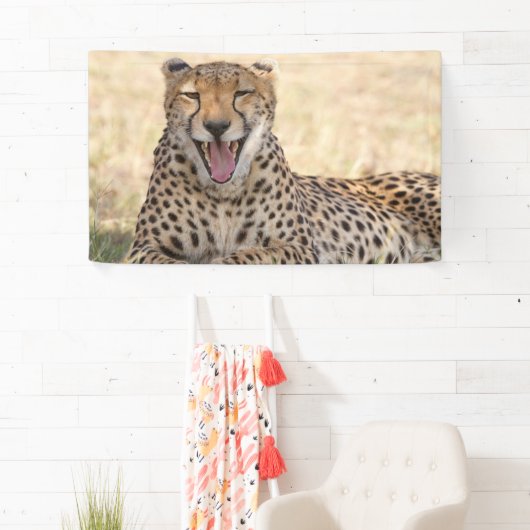 Yawning Cheetah Banner (Insitu)