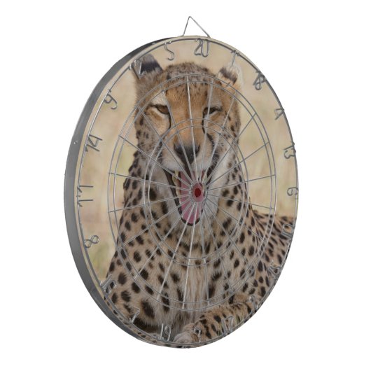 Yawning Cheetah Dartscheibe (Vorderseite Links)