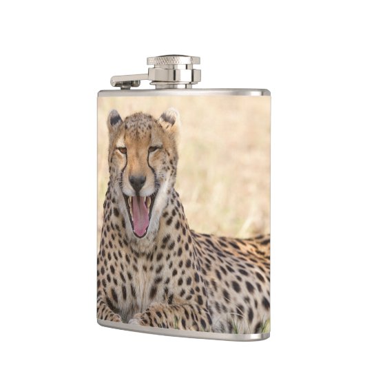 Yawning Cheetah Flachmann (Links)