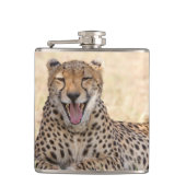 Yawning Cheetah Flachmann (Vorderseite)