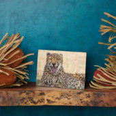 Yawning Cheetah Fotoplatte (Seite)