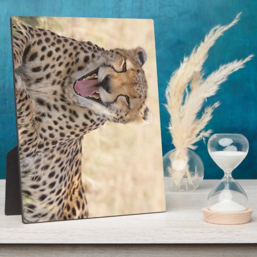 Yawning Cheetah Fotoplatte (Seite)