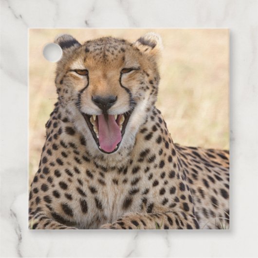 Yawning Cheetah Geschenkanhänger (Vorderseite)