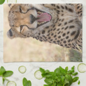 Yawning Cheetah Geschirrtuch (Gefaltet)