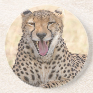 Yawning Cheetah Getränkeuntersetzer
