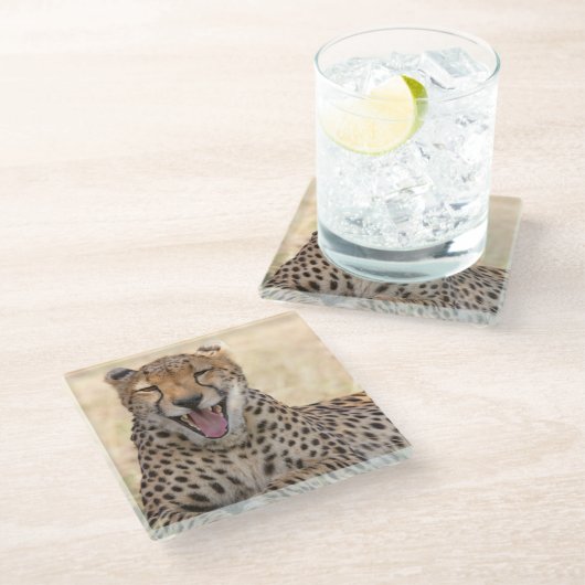 Yawning Cheetah Glasuntersetzer (Schrägansicht)