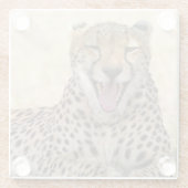 Yawning Cheetah Glasuntersetzer (Rückseite)