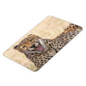 Yawning Cheetah Magnet (Linke Seite)