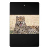 Yawning Cheetah Mini Klemmbrett (Rückseite)