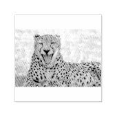 Yawning Cheetah Permastempel (Design)