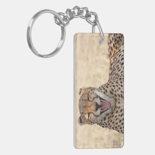 Yawning Cheetah Schlüsselanhänger (Vorderseite links)