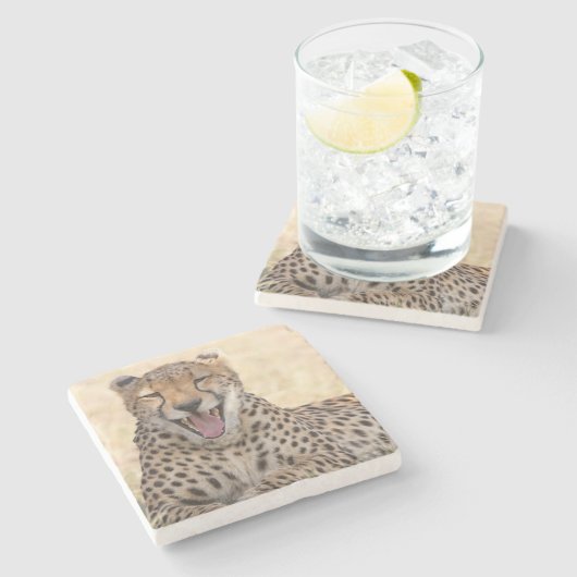 Yawning Cheetah Steinuntersetzer (Seitenansicht)