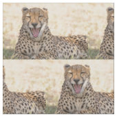 Yawning Cheetah Stoff (Nahaufnahme)