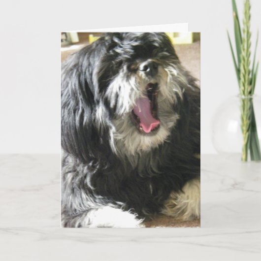 YAWNING CUZ ICH BIN 40. GEBURTSTAG KARTE (Vorderseite)