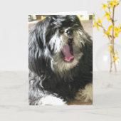 YAWNING CUZ ICH BIN 40. GEBURTSTAG KARTE (Gelbe Blume)