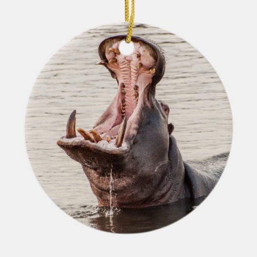Yawning Hippo Keramik Ornament (Vorne)
