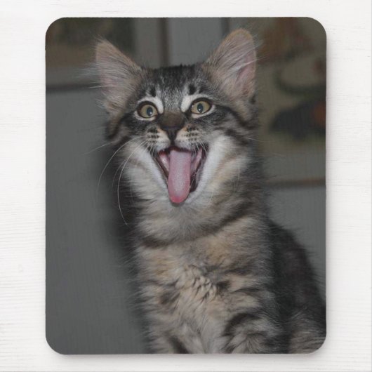 Yawning Kitten Mouse Pad Mousepad (Vorne)