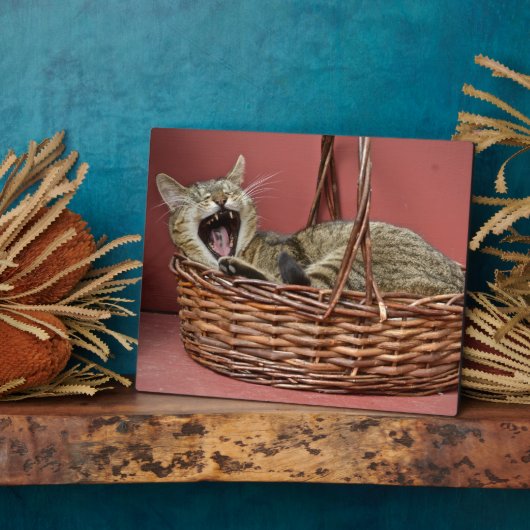 Yawning Kitty Cat Fotoplatte (Seite)