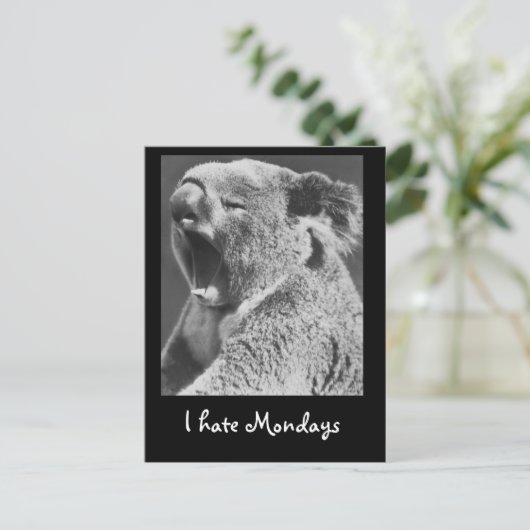 Yawning Koala Postkarte (Stehend Vorderseite)