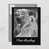Yawning Koala Postkarte (Vorne/Hinten)