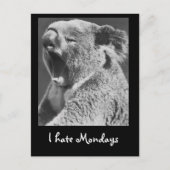 Yawning Koala Postkarte (Vorderseite)