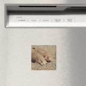 Yawning Prairie Dog Magnet (In Situ (Geschirrspüler))