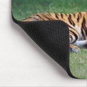 Yawning Tiger Mousepad (Ecke)
