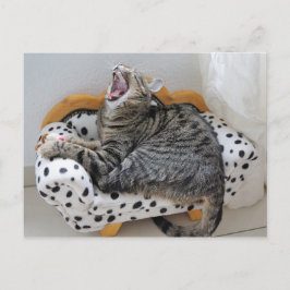 Yawning Tired Kitty Cat Niedlich Spaß Postkarte