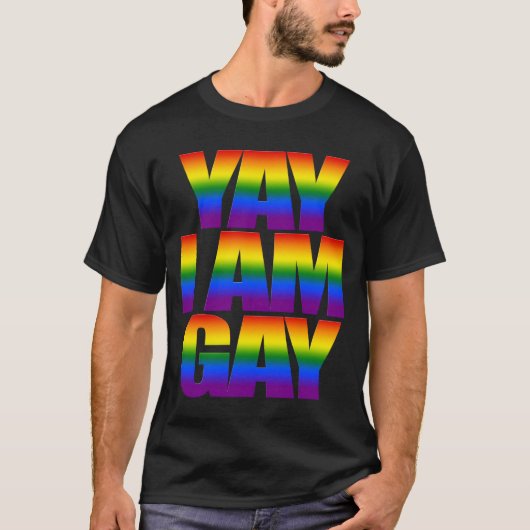 Yay bin ich homosexueller Gay Pride 2019 des T-Shirt (Vorderseite)