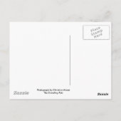 Ybor City, Florida Postkarte (Rückseite)