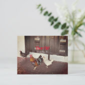 Ybor City, Tampa FLORIDA Postkarte (Stehend Vorderseite)