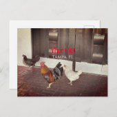 Ybor City, Tampa FLORIDA Postkarte (Vorne/Hinten)