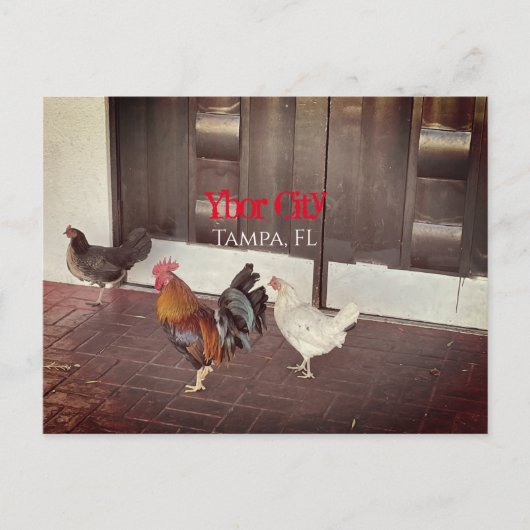 Ybor City, Tampa FLORIDA Postkarte (Vorderseite)