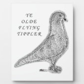 Ye Olde Tippler Pigeon Fotoplatte (Vorderseite)