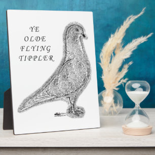 Ye Olde Tippler Pigeon Fotoplatte
